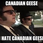 Worse than pigeons. | CANADIAN GEESE; I HATE CANADIAN GEESE | image tagged in blues brothers nazis,canadian,geese,funny memes,puppies and kittens | made w/ Imgflip meme maker