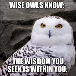 Snowy Owl of doubt | WISE OWLS KNOW:; THE WISDOM YOU SEEK IS WITHIN YOU. | image tagged in snowy owl of doubt | made w/ Imgflip meme maker
