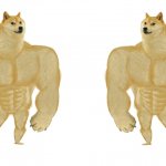 Strong Doge vs Stronge Doge