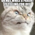 when a parent is telling you off | WHEN YOU RESPOND OR NOT WHILE A PARENT IS TELLING YOU OFF | image tagged in pissy cat | made w/ Imgflip meme maker