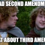 Merry and Pippin | WE'VE HAD SECOND AMENDMENT, YES, BUT WHAT ABOUT THIRD AMENDMENT? | image tagged in merry and pippin | made w/ Imgflip meme maker