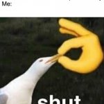 SHUT SEAGULL | You tuber: This video is sponsored by
Me: | image tagged in shut,seagull | made w/ Imgflip meme maker