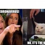 It's the Coronavirus! | IT'S THE CORONAVIRUS! NO, IT'S THE KUNG FLU | image tagged in kung flu | made w/ Imgflip meme maker