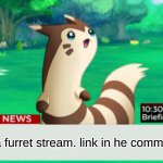 follow plez | we have a furret stream. link in he comments | image tagged in breaking news furret | made w/ Imgflip meme maker