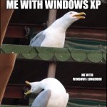 Screaming seagull | ME WITH WINDOWS 10; ME WITH WINDOWS XP; ME WITH WINDOWS LONGHORN; ME WITH WINDOWS ME | image tagged in screaming seagull | made w/ Imgflip meme maker