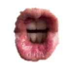 Trump Lips sticker