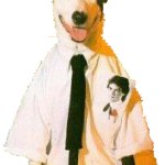 Working Class Dog sticker