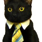 Business Cat sticker