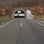 Truck misses tunnel | ONE AUDACIOUS MOSQUITO; MY LEFT NOSE | image tagged in truck misses tunnel,nose,mosquito,memes,funny,annoying | made w/ Imgflip meme maker