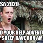 Epic NPC Man | USA 2020; I NEED YOUR HELP ADVENTURER MY SHEEP HAVE RUN AMOK | image tagged in epic npc man | made w/ Imgflip meme maker