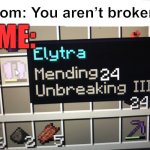 Mending 24 Elytra | Mom: You aren’t broken! ME: | image tagged in mending 24 elytra | made w/ Imgflip meme maker