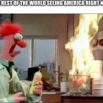 A meme from 2020 | THE REST OF THE WORLD SEEING AMERICA RIGHT NOW | image tagged in muppet | made w/ Imgflip meme maker