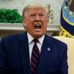 Trump cunt