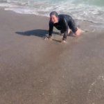 Crawl GIF Template
