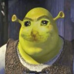 Sad Shrek | image tagged in sad shrek | made w/ Imgflip meme maker