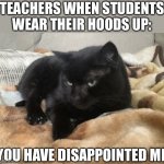 Disappointment cat | TEACHERS WHEN STUDENTS WEAR THEIR HOODS UP:; YOU HAVE DISAPPOINTED ME | image tagged in cat of disappointment,memes,haha,hoods,teachers,schook | made w/ Imgflip meme maker