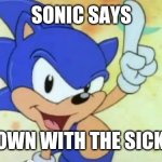 Sonic says | SONIC SAYS; GET DOWN WITH THE SICKNESS! | image tagged in sonic says | made w/ Imgflip meme maker