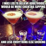 Cocktails  | I WAS LED TO BELIEVE ADULTHOOD WOULD BE MORE COCKTAIL SIPPING; AND LESS EVERYTHING ELSE SUCKING | image tagged in cocktails,adult,life sucks,2020,adulting,drinking | made w/ Imgflip meme maker