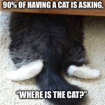 Cat hiding | 90% OF HAVING A CAT IS ASKING, “WHERE IS THE CAT?” | image tagged in cat hiding,cat,hiding,sofa,perception,meme | made w/ Imgflip meme maker