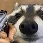 Wholesome coon with gun