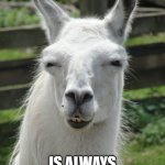 drama llama | DRAMA LLAMA; IS ALWAYS WATCHING... | image tagged in drama llama | made w/ Imgflip meme maker