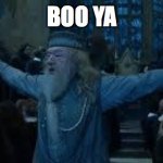 Harry Potter | BOO YA | image tagged in harry potter | made w/ Imgflip meme maker