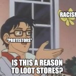 Isthisapigeon | RACISM; "PROTESTORS"; IS THIS A REASON TO LOOT STORES? | image tagged in isthisapigeon | made w/ Imgflip meme maker