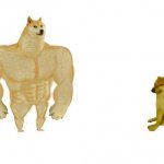 Perro fuerte y perro debil