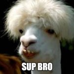 weird looking memes | SUP BRO | image tagged in sup man | made w/ Imgflip meme maker