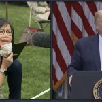 Weijia Jiang vs. Donald Trump