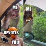 Upvote monkey | ME; ME; UPVOTES; UPVOTES; YOU | image tagged in monkey getting an orange,memes,upvote begging | made w/ Imgflip meme maker