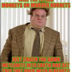 Have some damn mercy 2020! | WILL THE FLYING MONKEYS ON MURDER HORNETS; JUST CRASH THE DAMN METEORITE INTO EARTH AND GET THIS SHIT OVER WITH ALREADY? | image tagged in chris farley hair,coronavirus,murder hornet,2020,riots | made w/ Imgflip meme maker