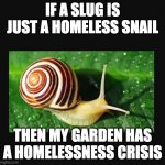 homelessness crisis | IF A SLUG IS JUST A HOMELESS SNAIL; THEN MY GARDEN HAS A HOMELESSNESS CRISIS | image tagged in snail,homeless,garden | made w/ Imgflip meme maker