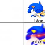 Sonic sleeps