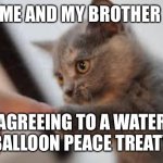 Treaty | ME AND MY BROTHER; AGREEING TO A WATER BALLOON PEACE TREATY | image tagged in kitten fist bump | made w/ Imgflip meme maker