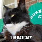 I'm Batcat | "I'M BATCAT!" | image tagged in batcat | made w/ Imgflip meme maker