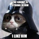 Darth Grumper | THE GRUMP IS STRONG IN HIM; I LIKE HIM | image tagged in darth grumpy cat | made w/ Imgflip meme maker