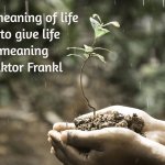 The meaning of life is to give life meaning meme