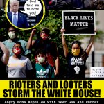 rioters and looters storm the white house
