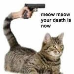 meow meow your death is now meme