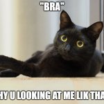 Bra Cat meme