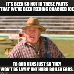 How hot is it? | IT'S BEEN SO HOT IN THESE PARTS THAT WE'VE BEEN FEEDING CRACKED ICE; TO OUR HENS JUST SO THEY WON'T BE LAYIN' ANY HARD BOILED EGGS. | image tagged in farmer fran | made w/ Imgflip meme maker