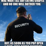 Security Guard Work Stories | YOU CAN WALK AROUND WAL-MART ALL DAY EATING GRAPES AND NO ONE WILL BOTHER YOU. BUT, AS SOON AS YOU POP OPEN A BEER, HERE COMES SECURITY. | image tagged in security,guard,walmart,beer,grapes,meme | made w/ Imgflip meme maker