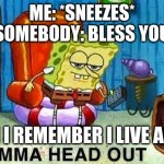 skreem and run away | ME: *SNEEZES*
SOMEBODY: BLESS YOU; WHEN I REMEMBER I LIVE ALONE: | image tagged in skreems | made w/ Imgflip meme maker