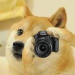 Camera Doge