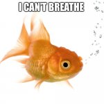 Bad Memory Goldfish | I CAN’T BREATHE | image tagged in goldfish,fish,blm,breathe,i cant breathe,meme | made w/ Imgflip meme maker