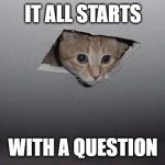 Curiosity | IT ALL STARTS; WITH A QUESTION | image tagged in gato curioso | made w/ Imgflip meme maker