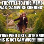 Explosion of brain. | THE TITLE TO THIS MEME WAS “SAMWISE RUNNING”. ANYONE WHO LIKES LOTR KNOWS THIS IS NOT SAMWISE!!!!!!!!!!!! | image tagged in samwise running lotr | made w/ Imgflip meme maker