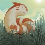 furret bow