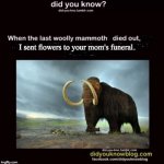 altered mammoth meme